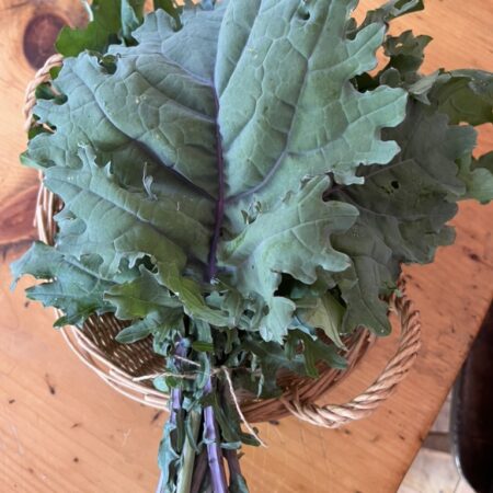 Kale (bunch)