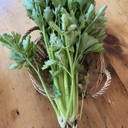 Celery (head)