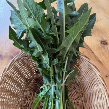 Dandelion Greens (bunch)