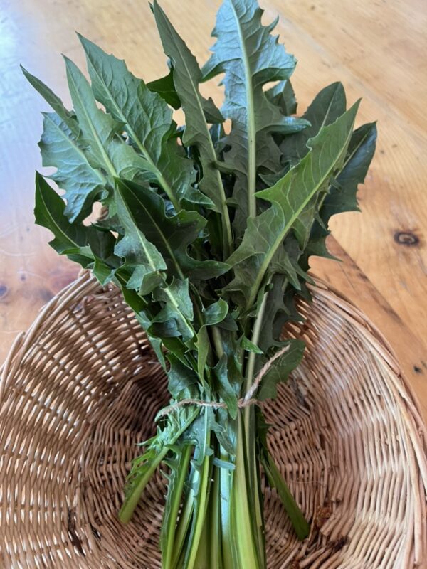 Dandelion Greens (bunch)