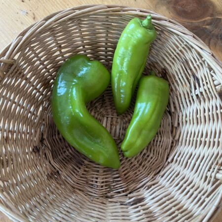 Peppers Cornito Sweet Green  (each)