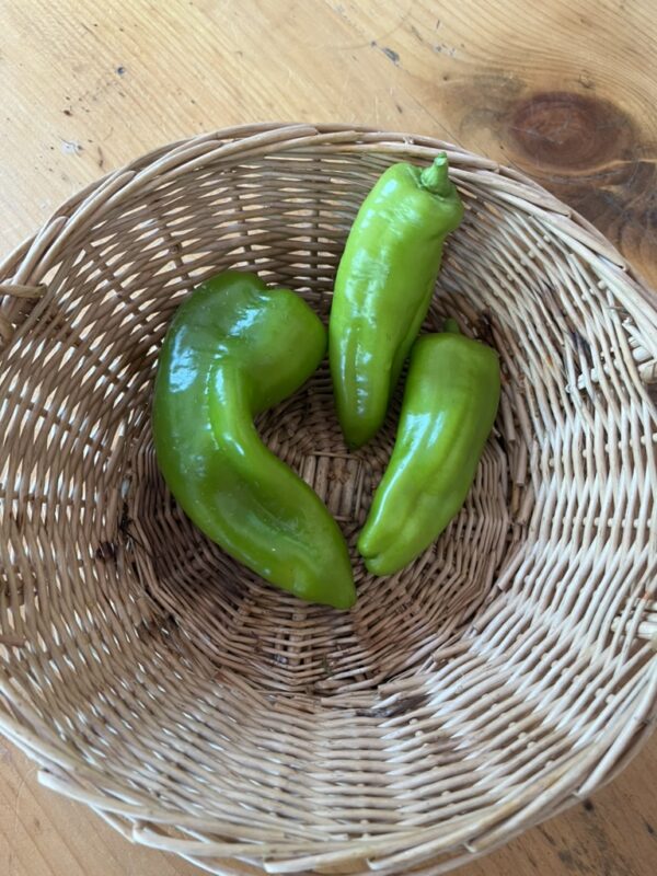 Peppers Cornito Sweet Green  (each)