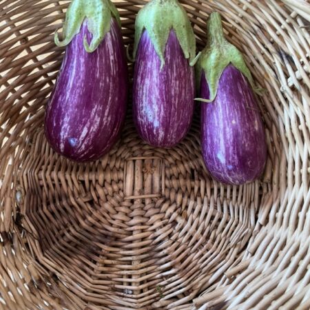 Eggplant small (each)