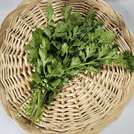 Cilantro (bunch)
