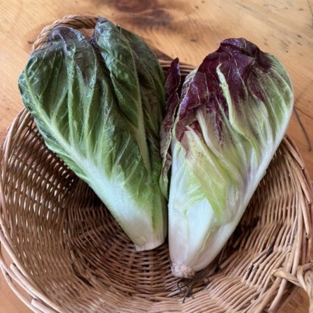 Radicchio (head)