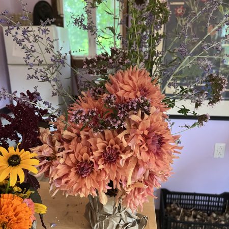 Dahlia Small (Bouquet)