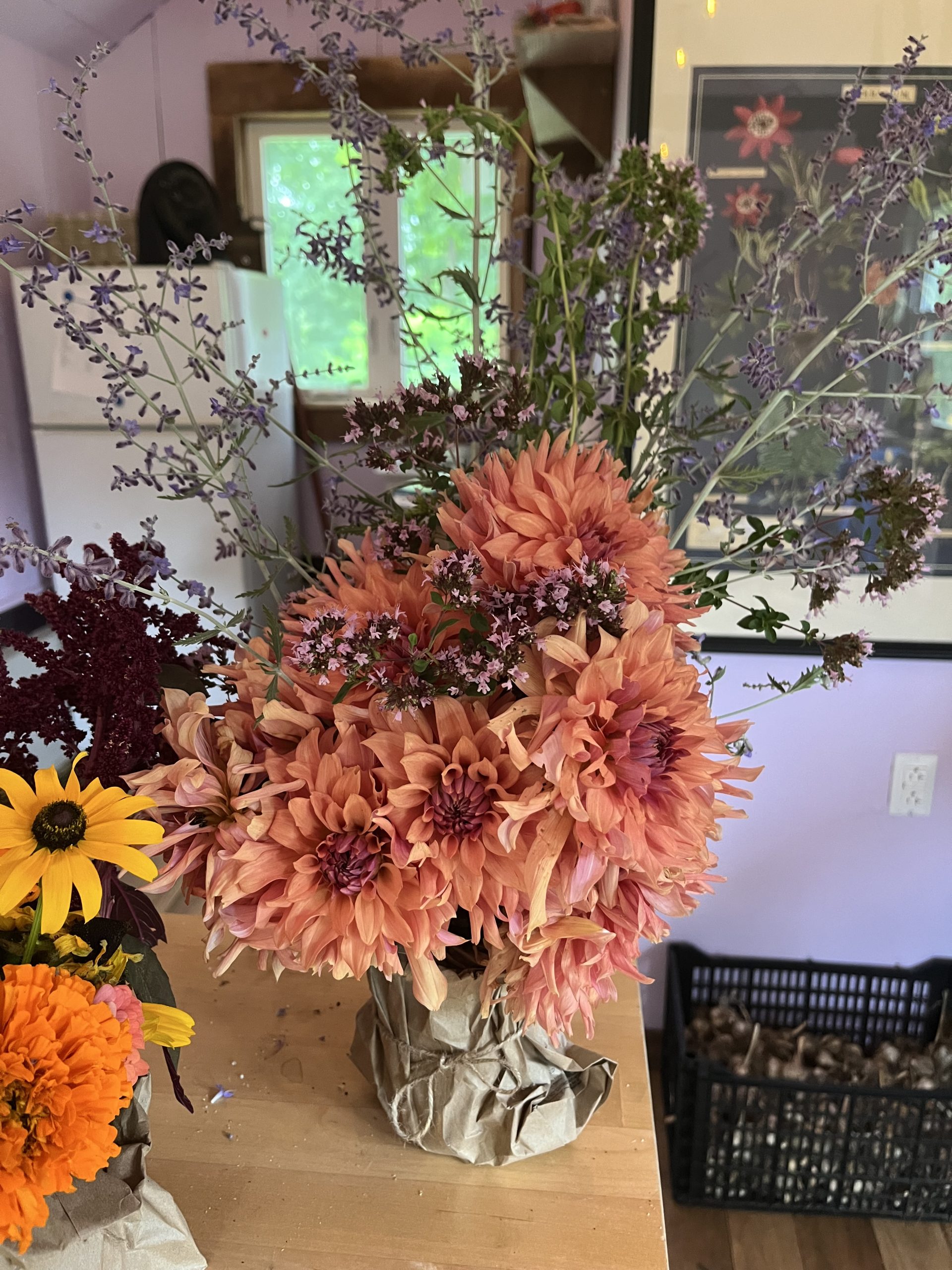 Dahlia Small (Bouquet) - Image 1