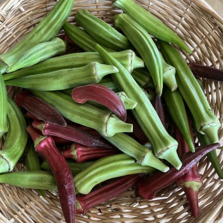 Okra Green and Red Mix (1 pound)
