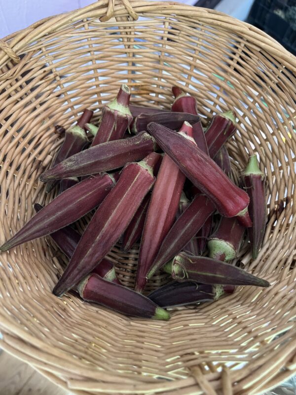 Okra (half pound)