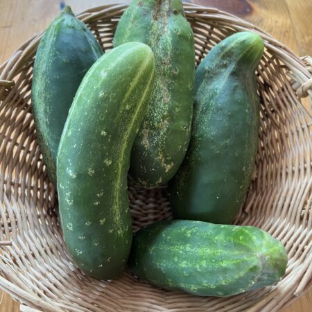 Cucumbers (each)