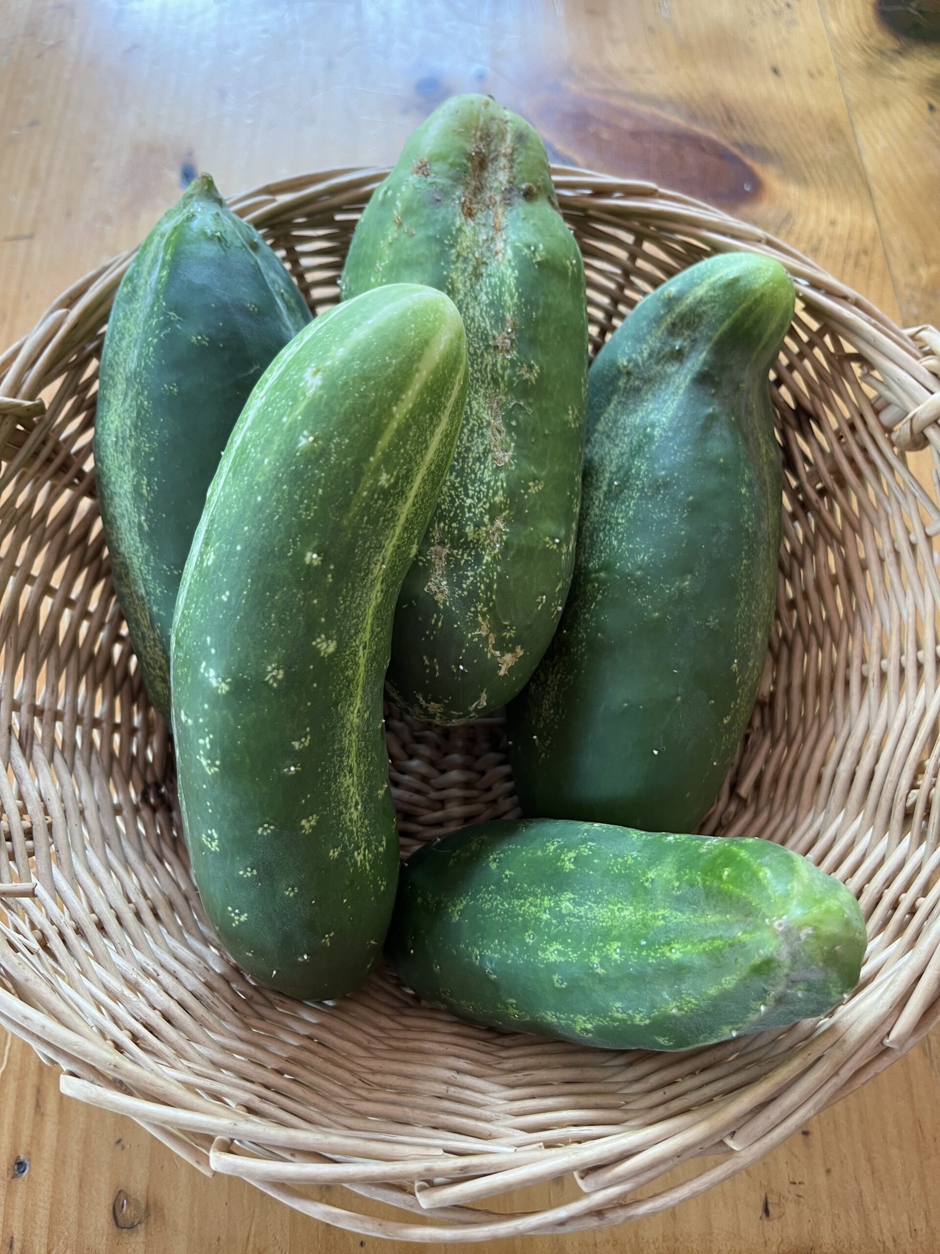 Cucumbers (each) - Image 1