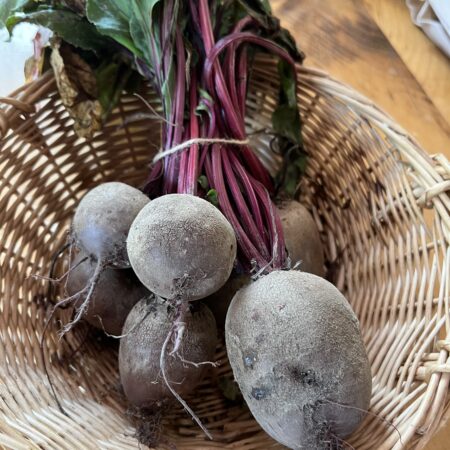 Beets (bunch of 5~)