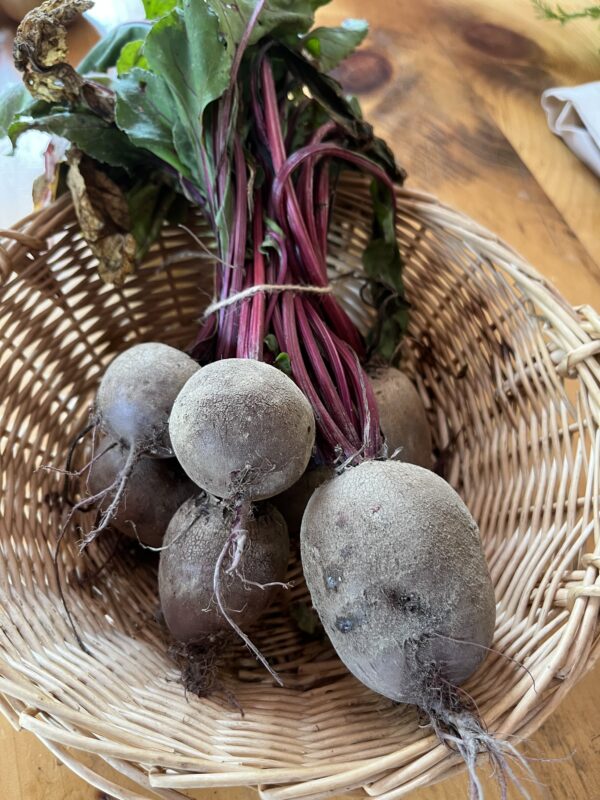 Beets (bunch of 5~)