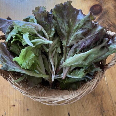 Lettuce (baby) (bag)