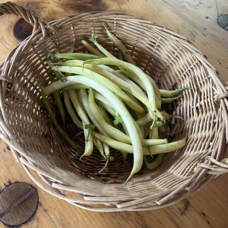 Beans Yellow (half pound)