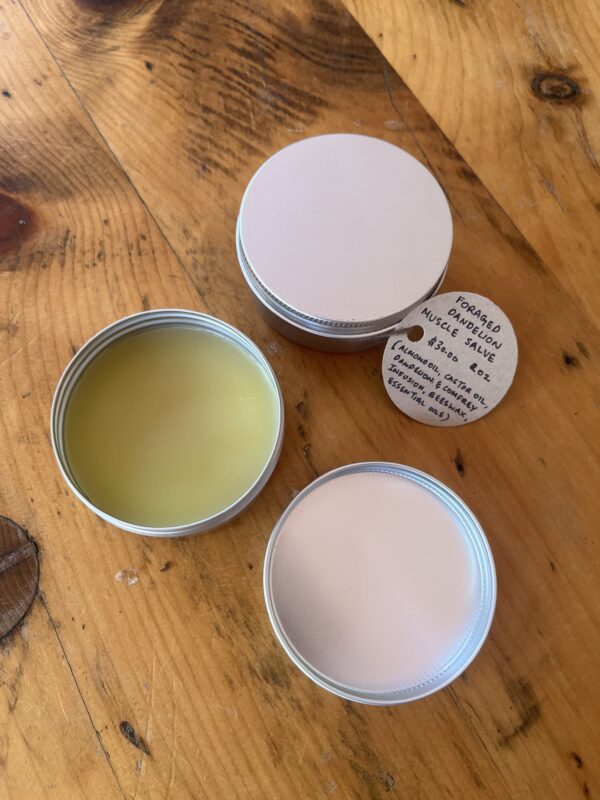 Dandelion Flower Muscle Salve