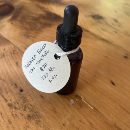 Turkey Tail Tincture