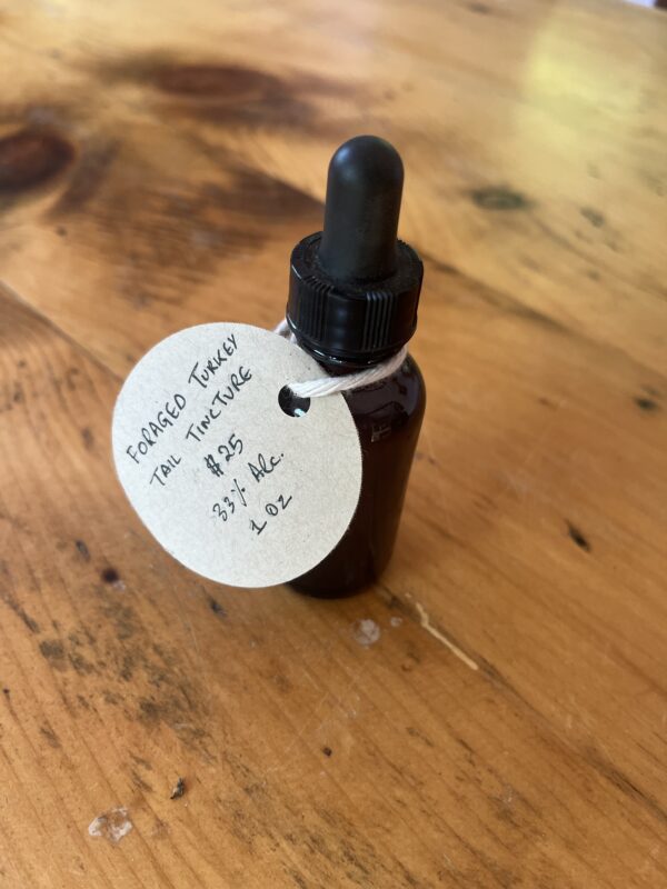 Turkey Tail Tincture