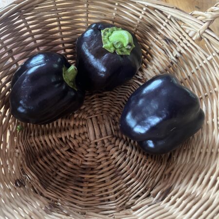 Peppers Purple Sweet (each)