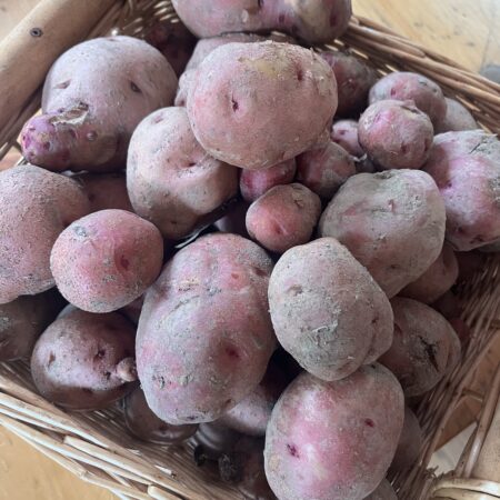 Potato Red (pounds)