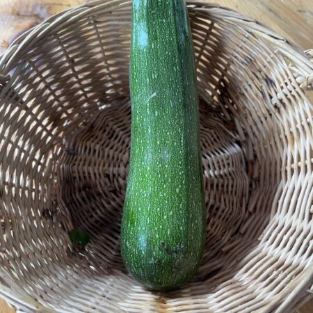 Squash Green Zucchini (each)