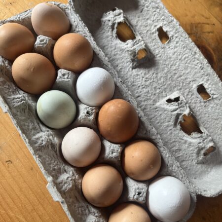 Eggs (dozen)