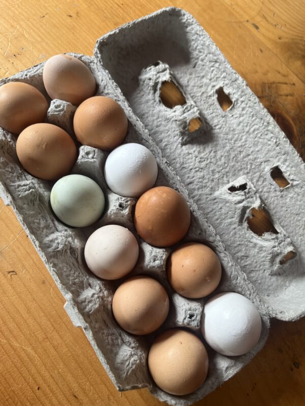 Eggs (dozen)
