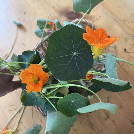 Nasturium, flowers with greens (Bunch)