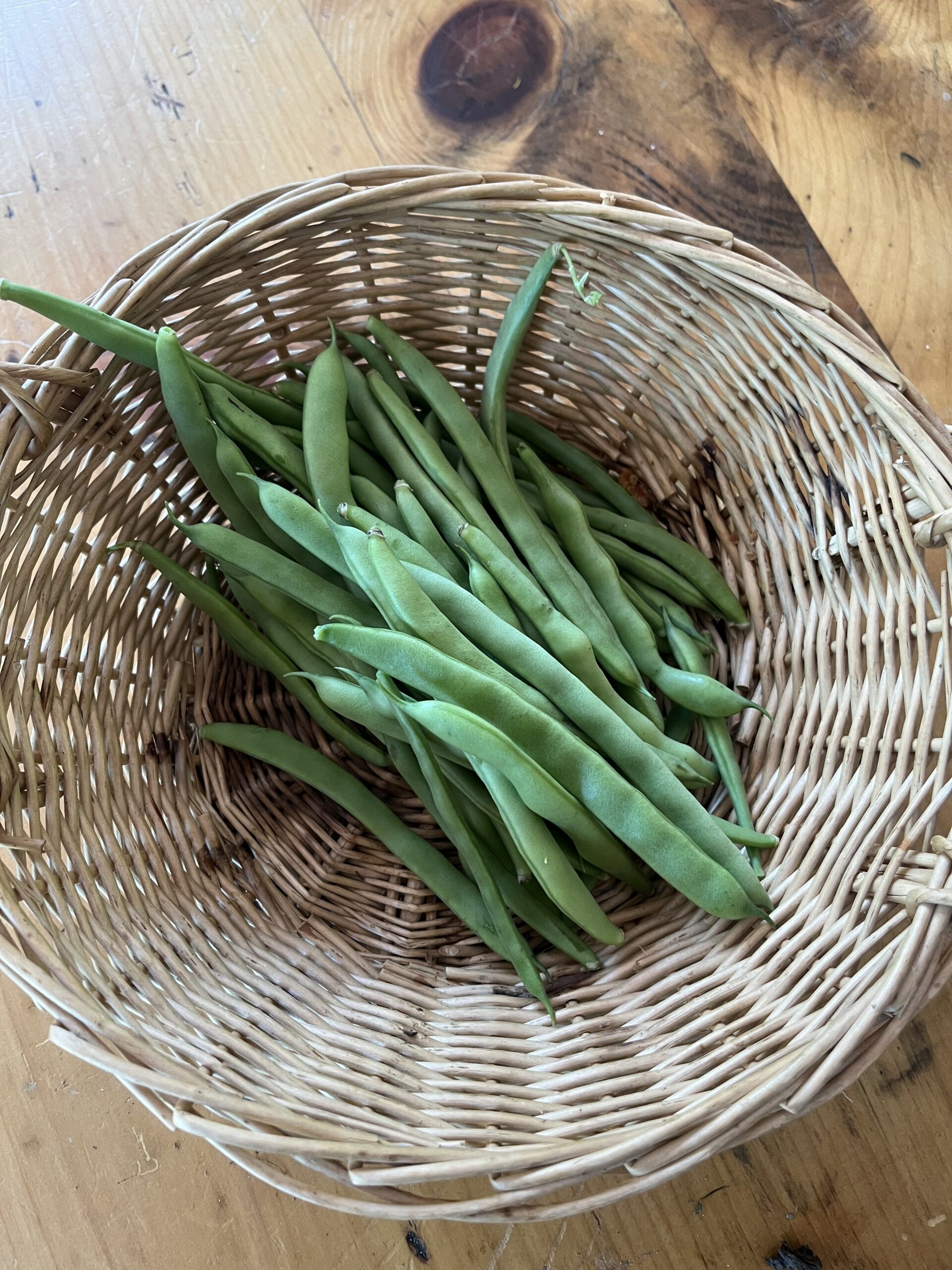 Beans Pole (half pound) - Image 1