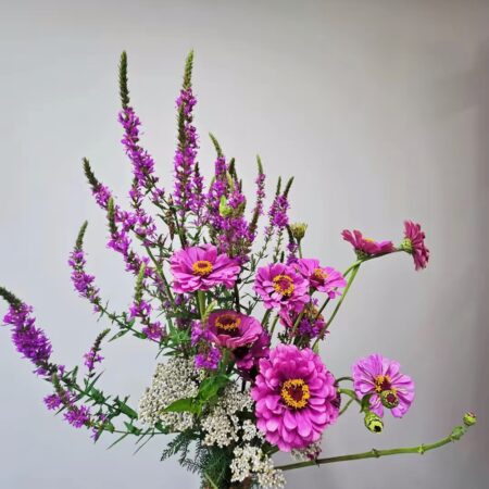Zinnia (bouquet)