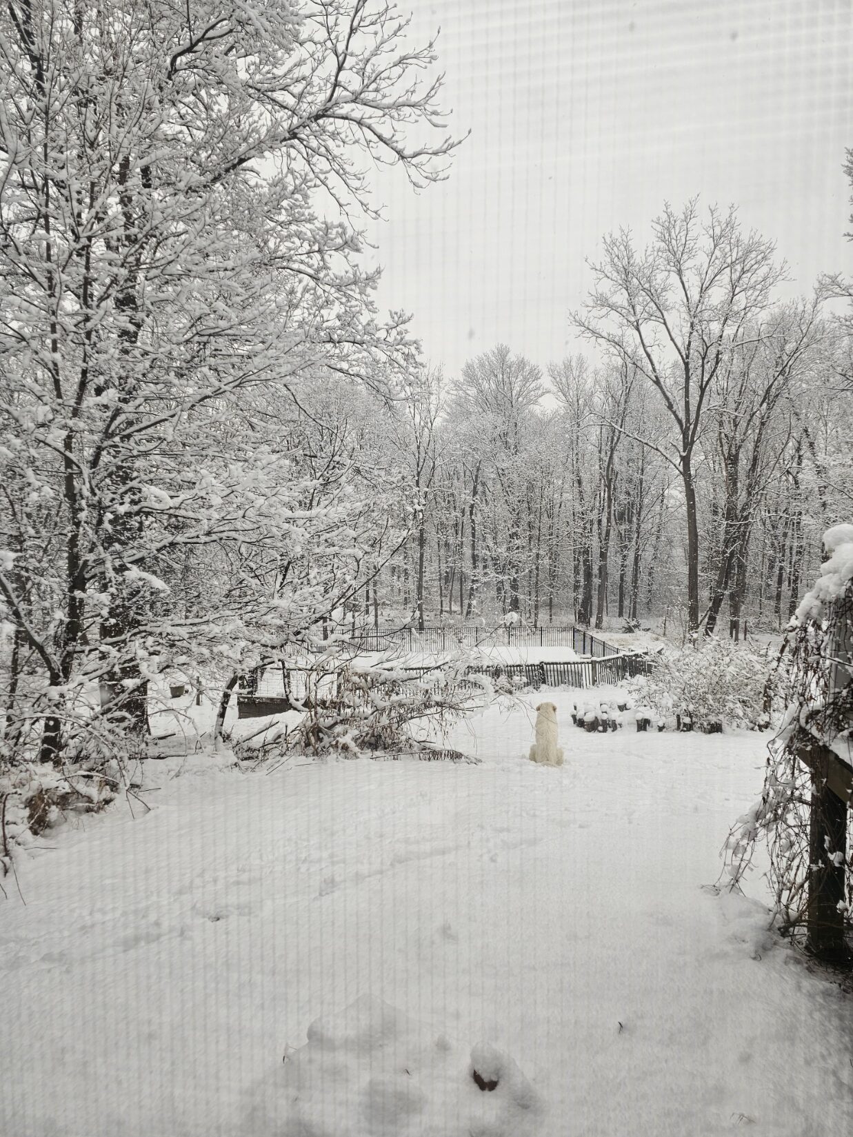 A place in this world: on looking to the future and asking for help