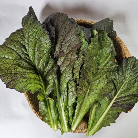 Japanese Giant Red Mustard (bunch)