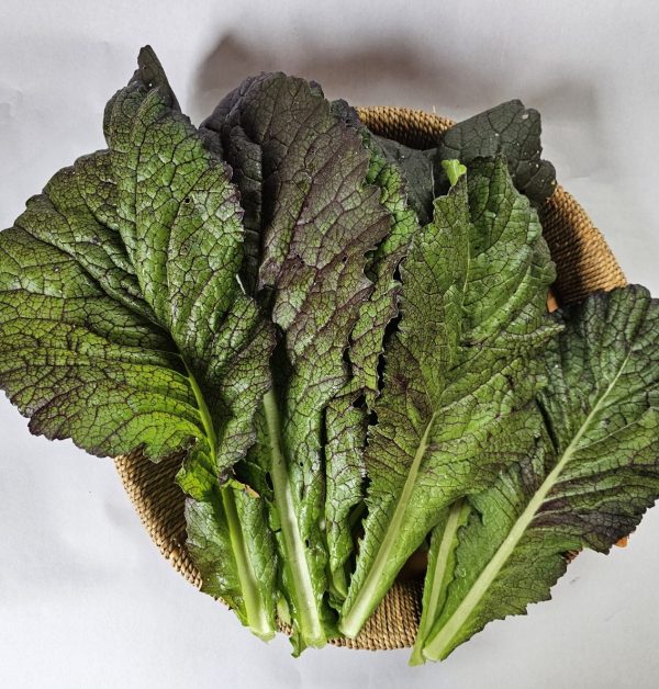 Japanese Giant Red Mustard (bunch)