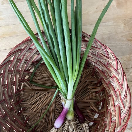 Green Onions, Purple and White Mix