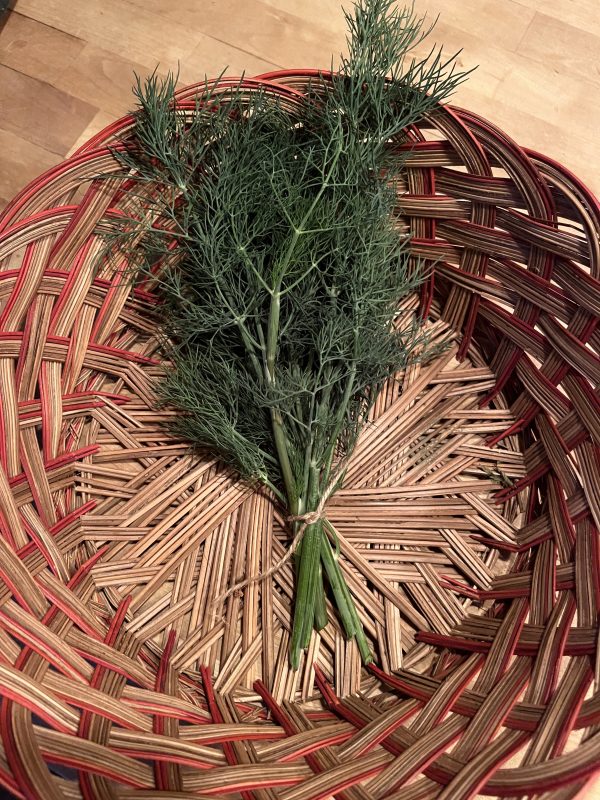 Dill (bunch)