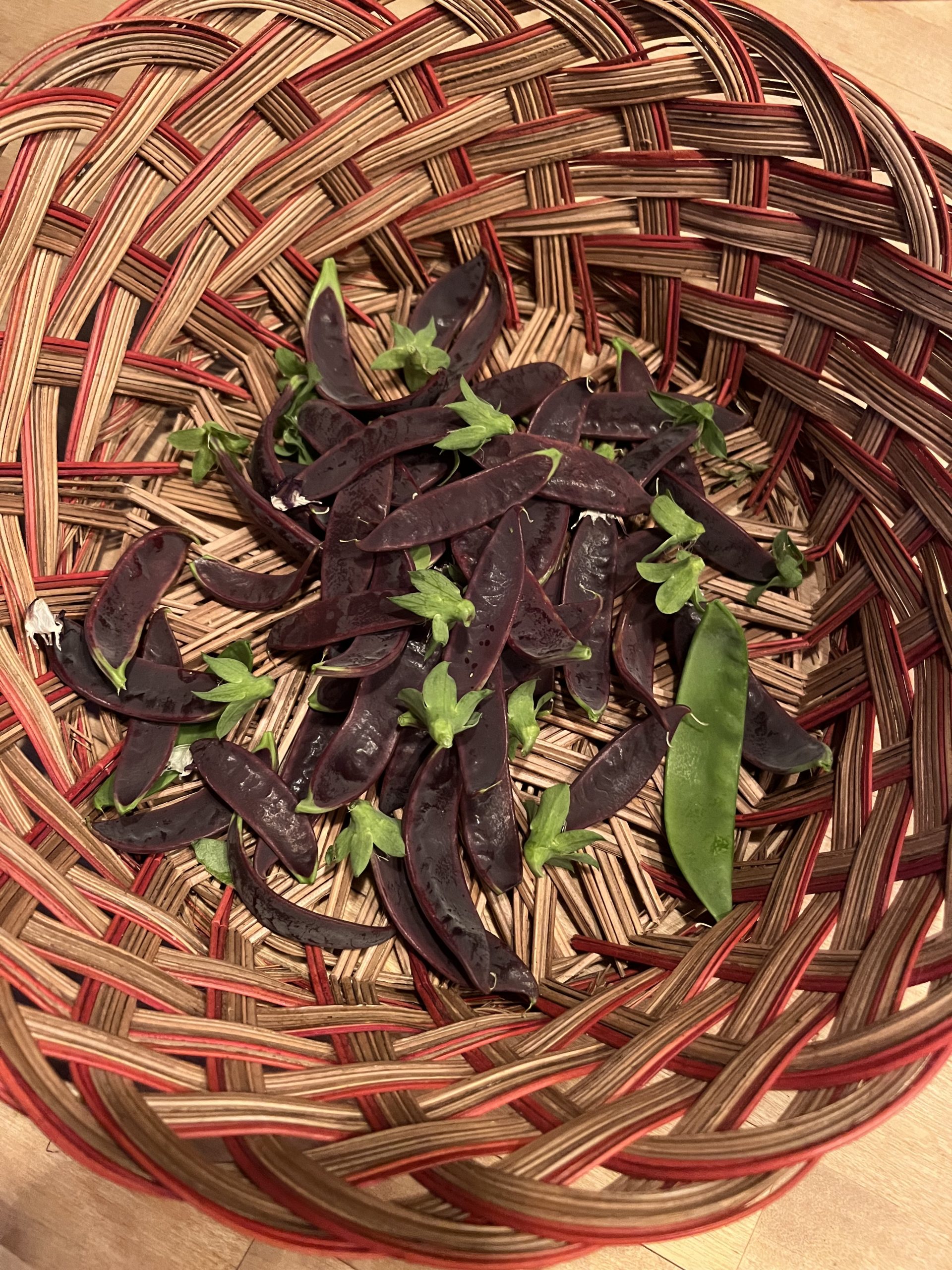 Snow Peas (half pound) - Image 1