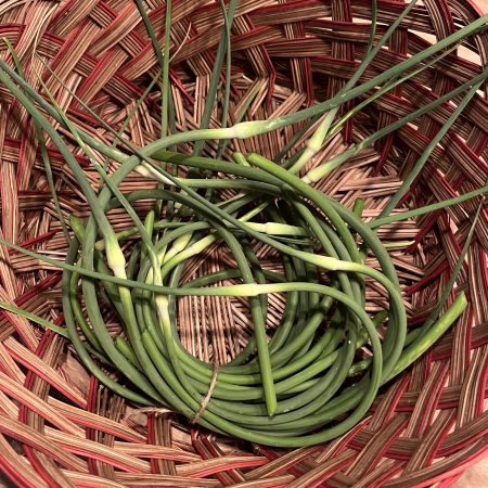Garlic Scapes (bunch of 15 scapes)