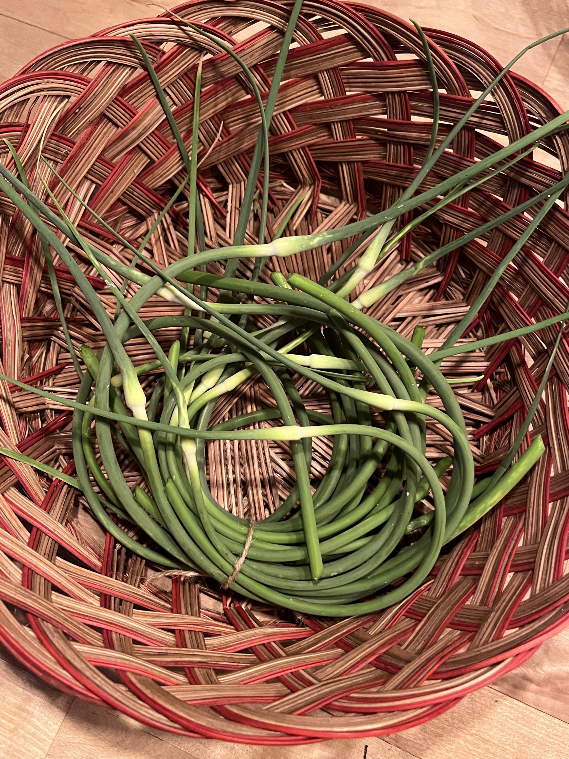 Garlic Scapes (bunch of 15 scapes) - Image 1
