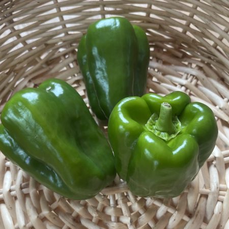 Green Bell Pepper (each)