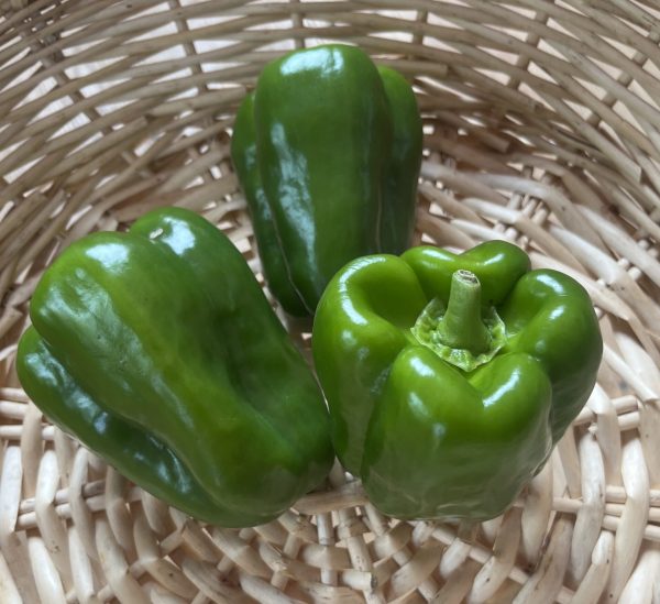 Green Bell Pepper (each)