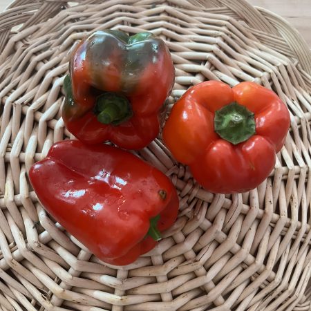 "Ace" Red Bell Pepper