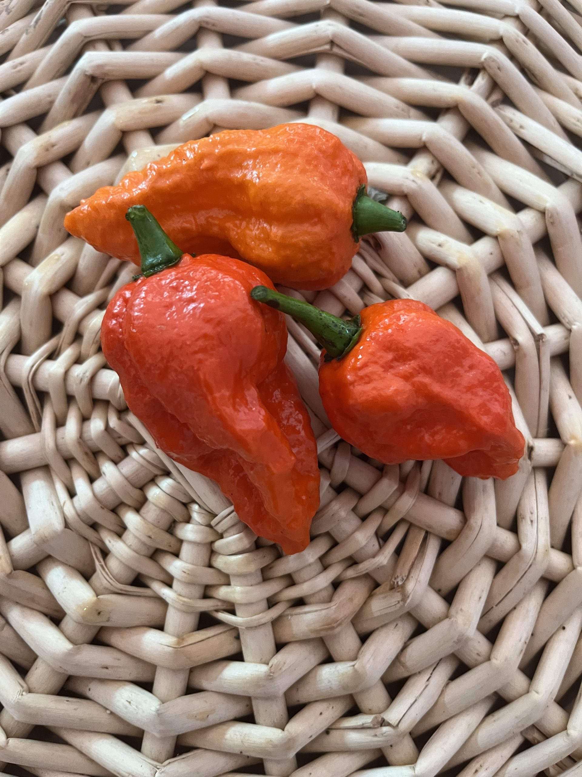 Apocalypse Scorpion Superhot Pepper - Image 1